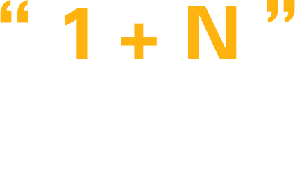 1+n超级VIP服务